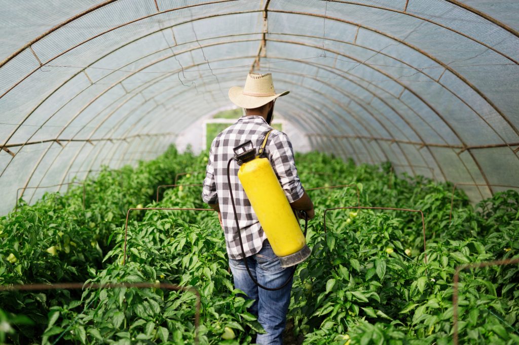 Queensland Fruit Fly Growers Update (July 2021) Fruit Fly Control